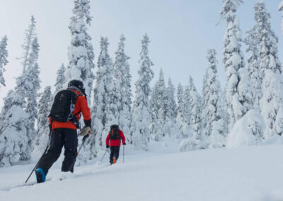 Toppturshelg Almdalens Fjällgård